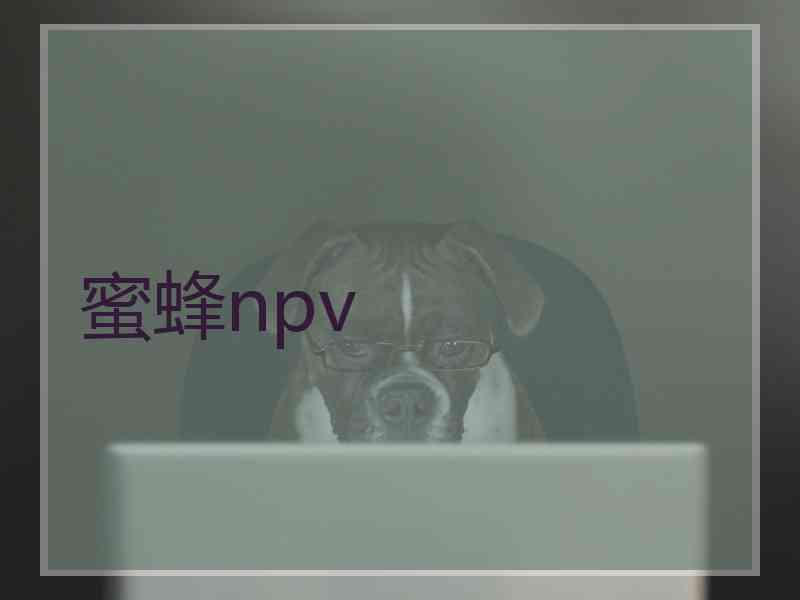 蜜蜂npv