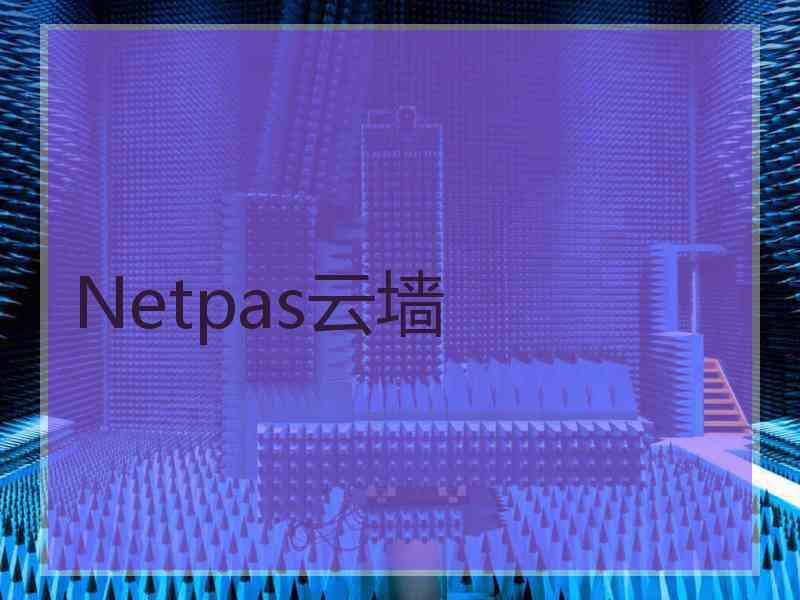 Netpas云墙