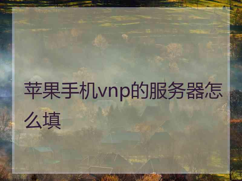 苹果手机vnp的服务器怎么填