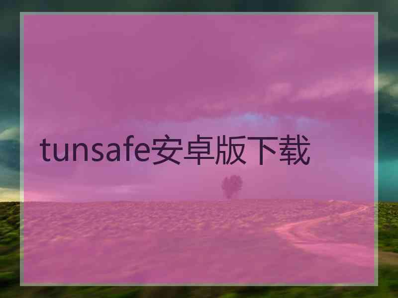 tunsafe安卓版下载