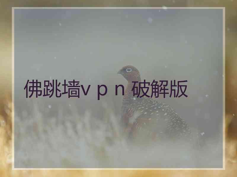 佛跳墙v p n 破解版