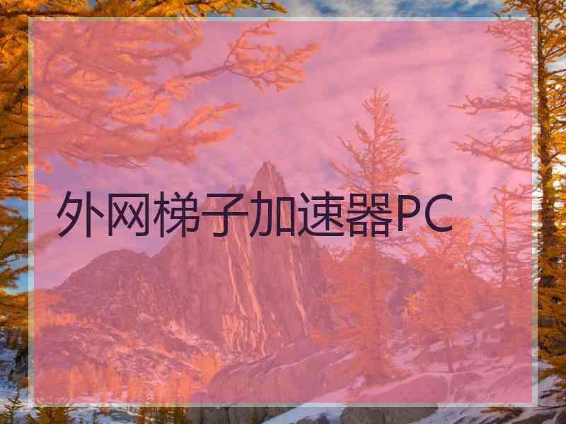 外网梯子加速器PC