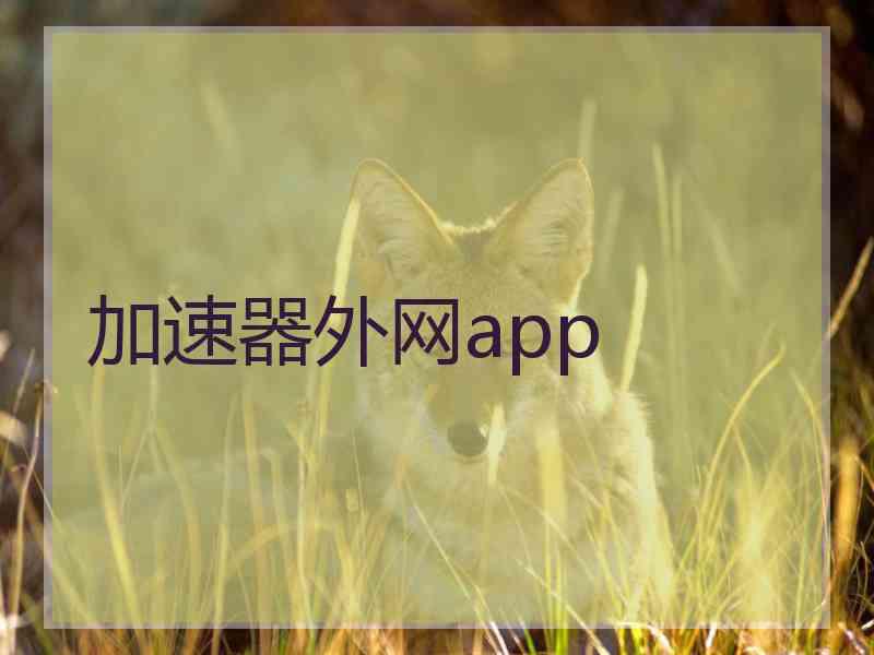 加速器外网app