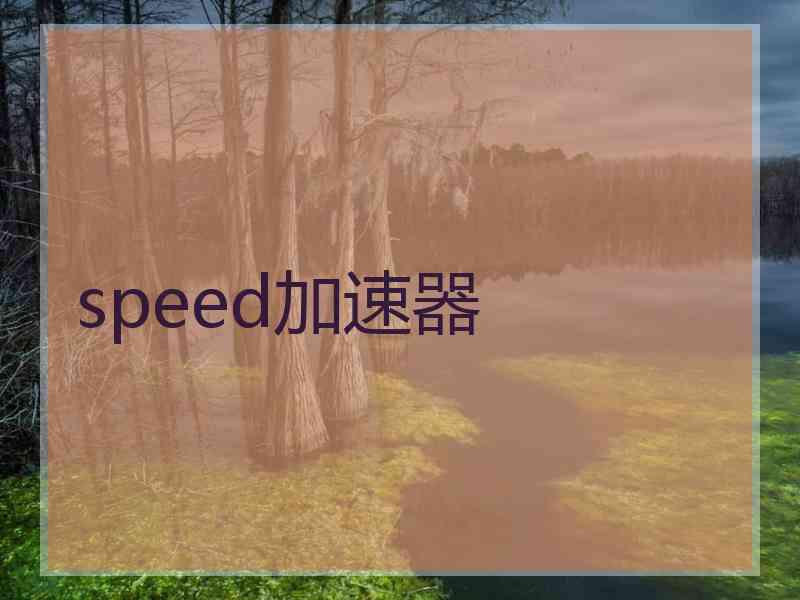 speed加速器