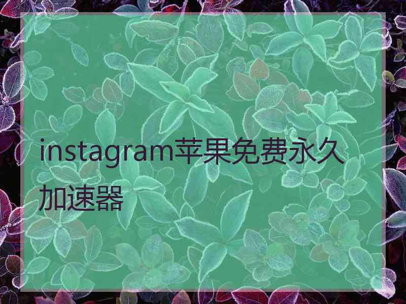 instagram苹果免费永久加速器