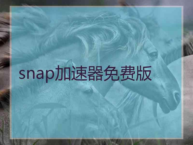 snap加速器免费版