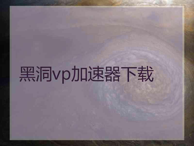 黑洞vp加速器下载