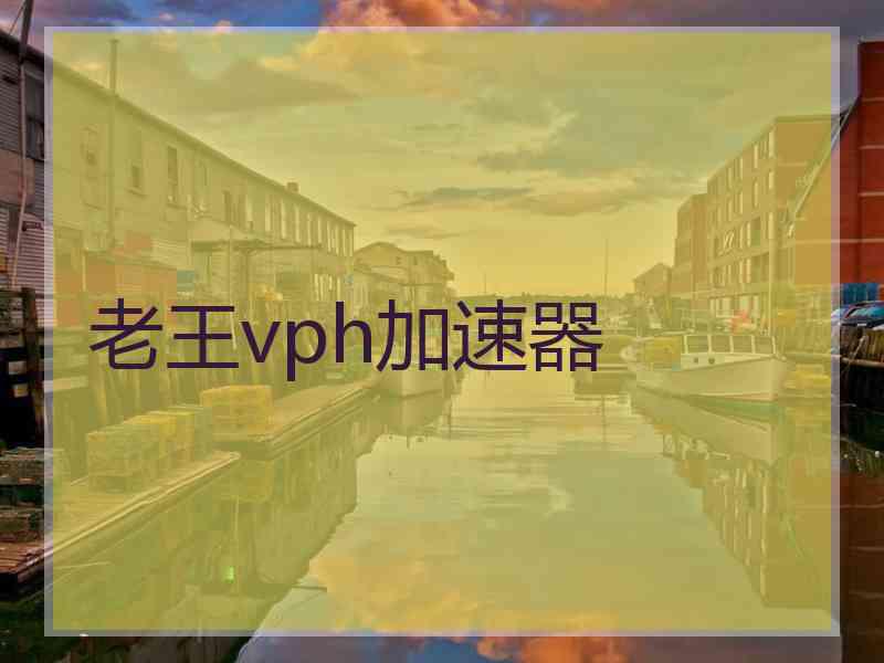 老王vph加速器