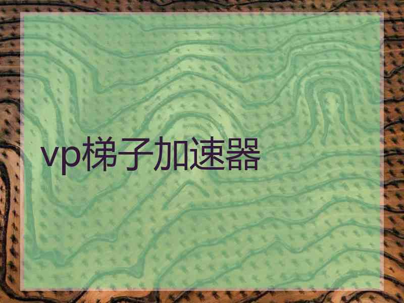 vp梯子加速器