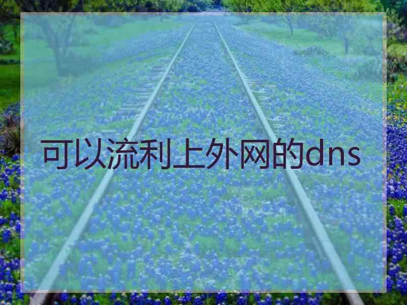 可以流利上外网的dns