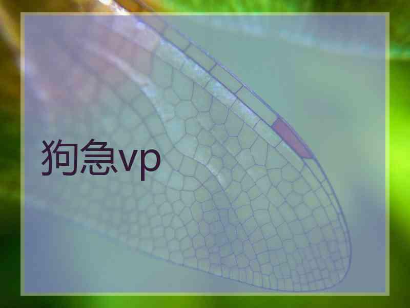 狗急vp