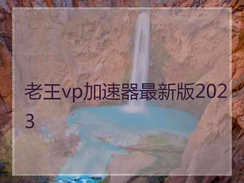 老王vp加速器最新版2023
