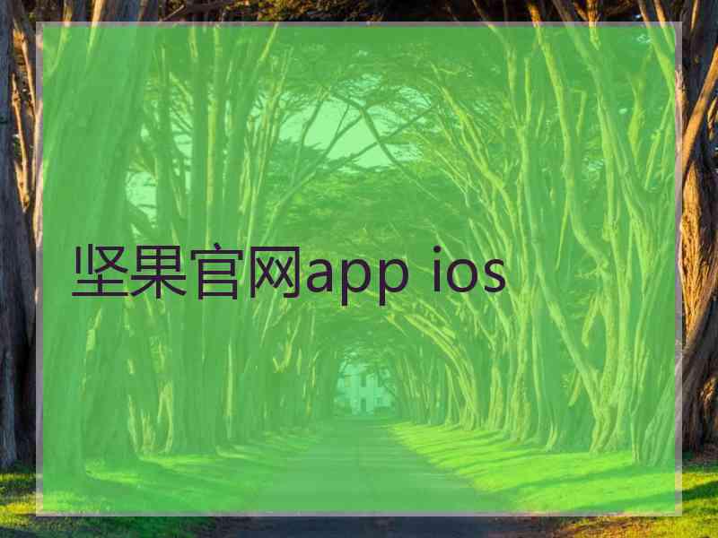 坚果官网app ios