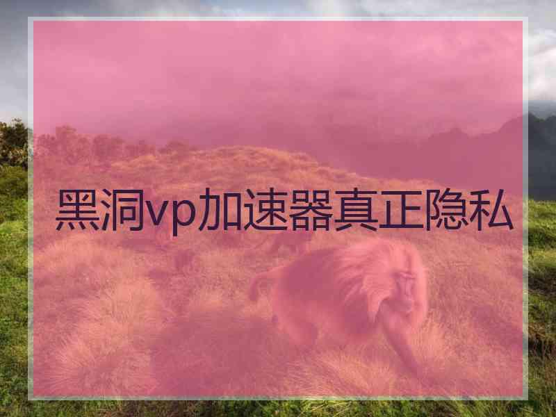 黑洞vp加速器真正隐私