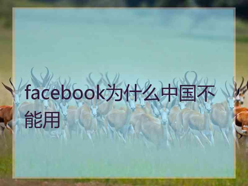 facebook为什么中国不能用