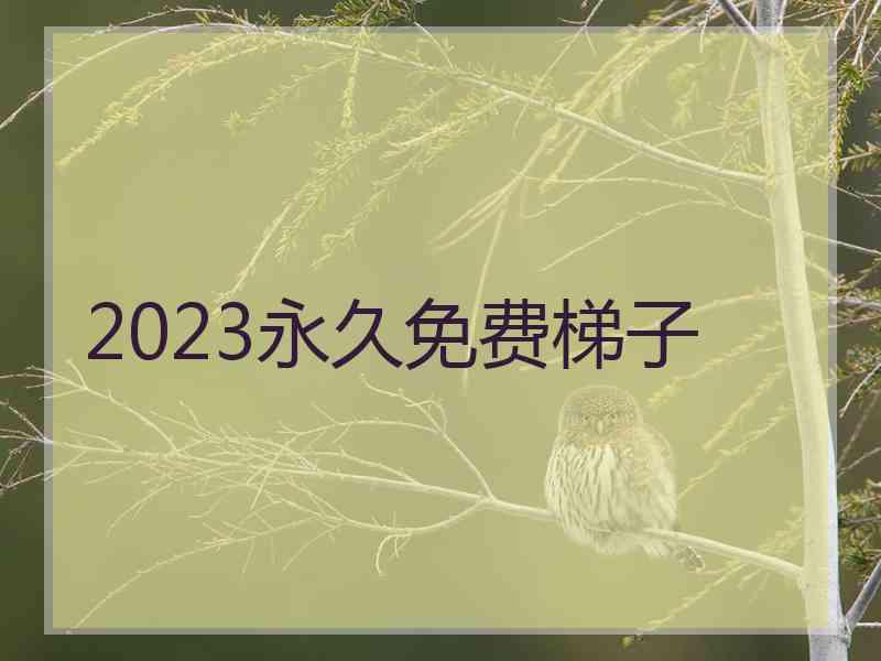 2023永久免费梯子