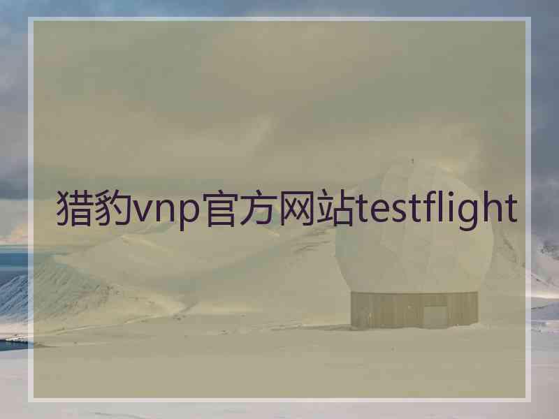 猎豹vnp官方网站testflight