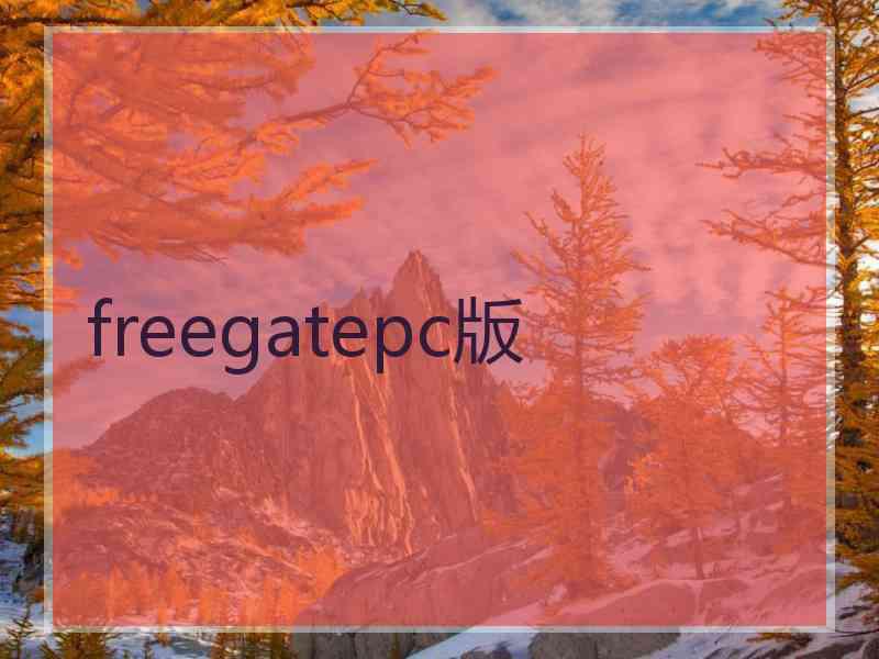 freegatepc版