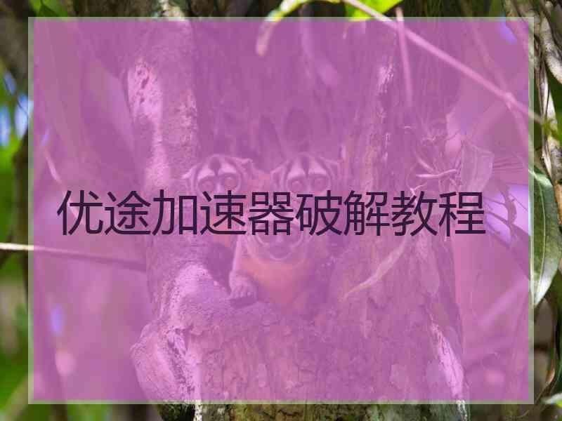 优途加速器破解教程