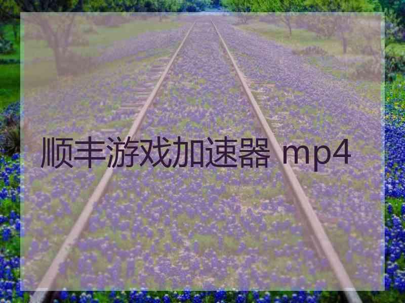 顺丰游戏加速器 mp4