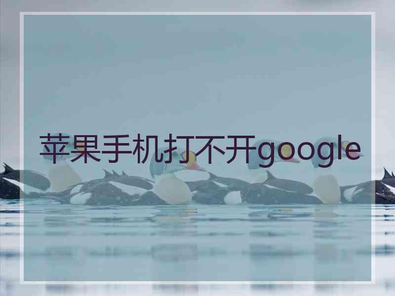 苹果手机打不开google