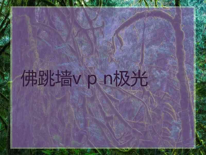 佛跳墙v p n极光