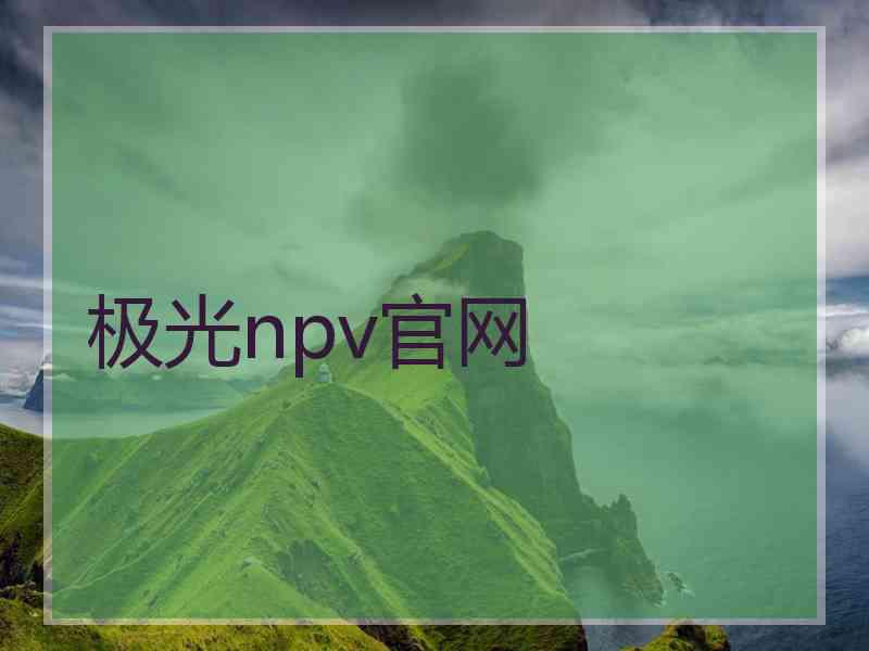 极光npv官网