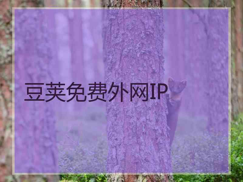 豆荚免费外网IP