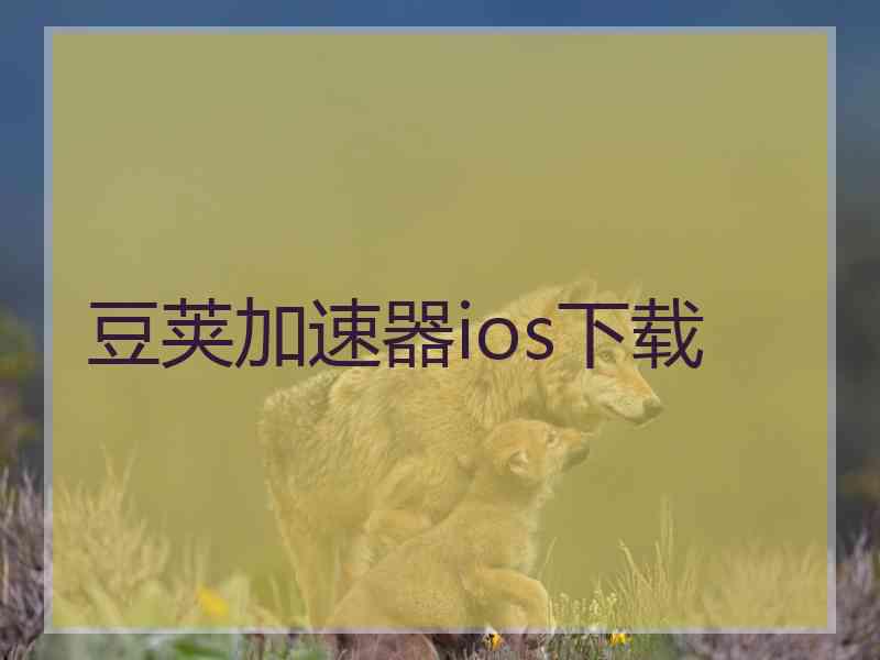 豆荚加速器ios下载