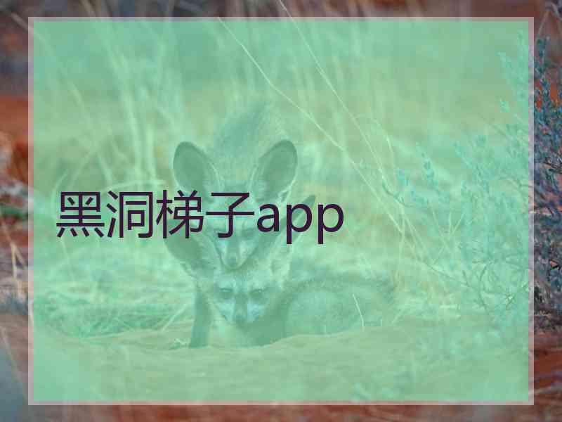 黑洞梯子app