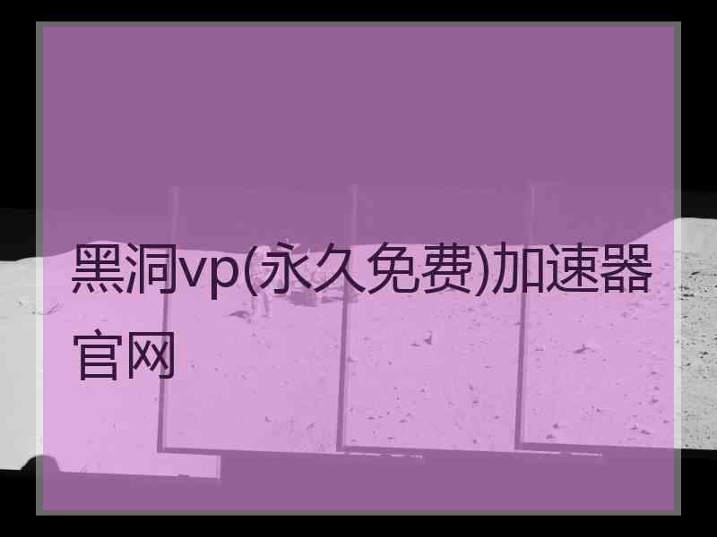 黑洞vp(永久免费)加速器官网