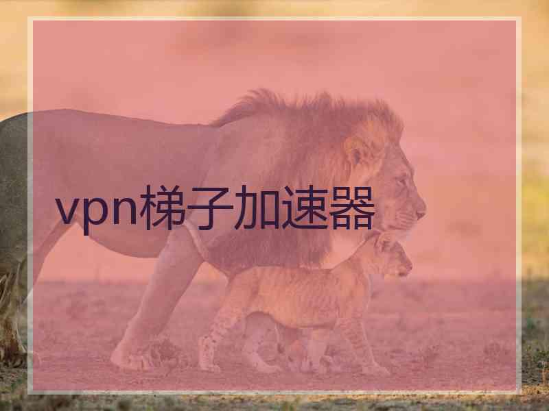 vpn梯子加速器