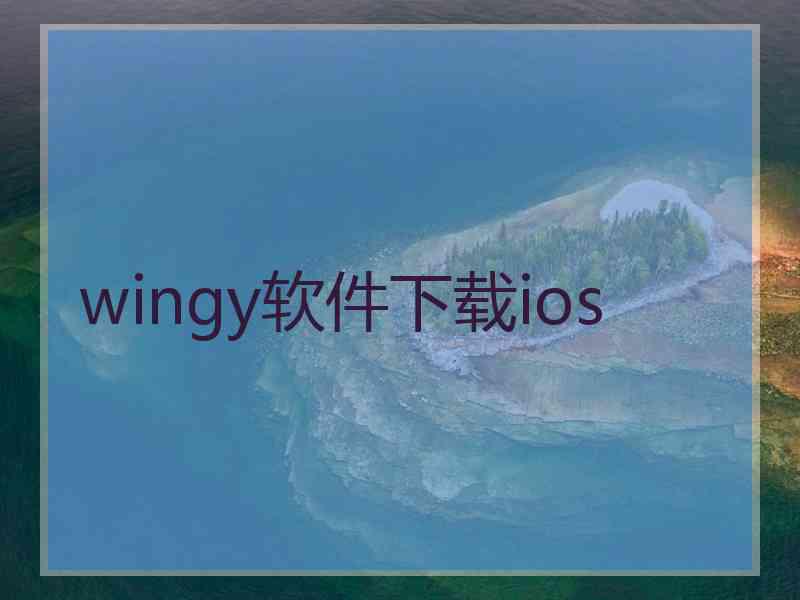 wingy软件下载ios