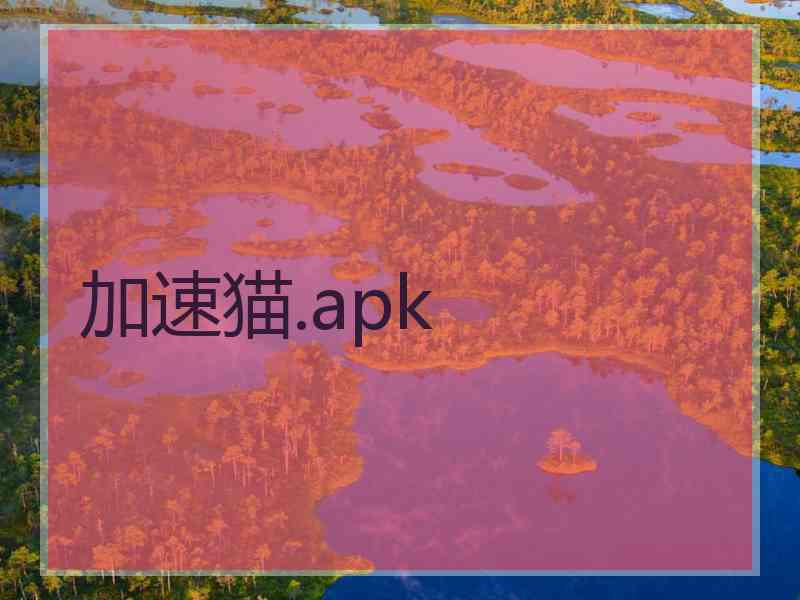 加速猫.apk