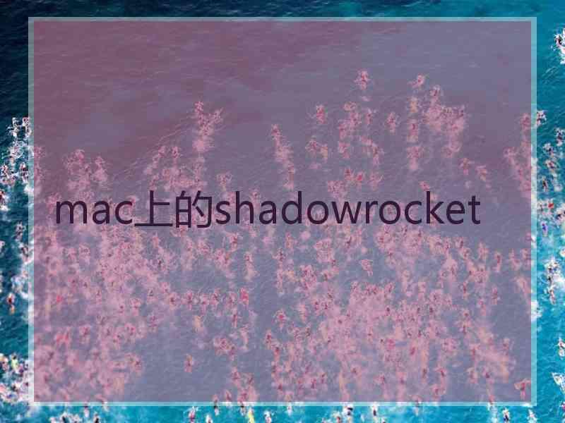 mac上的shadowrocket