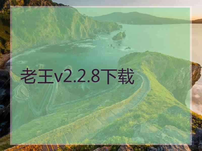 老王v2.2.8下载