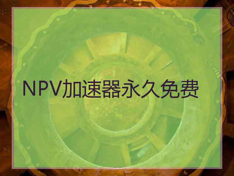 NPV加速器永久免费