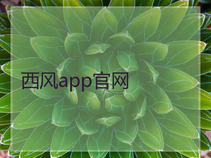 西风app官网