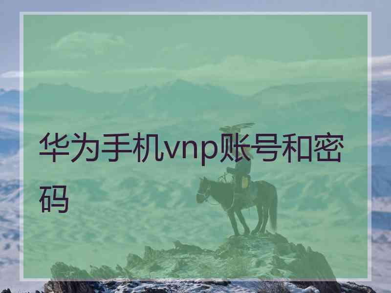 华为手机vnp账号和密码