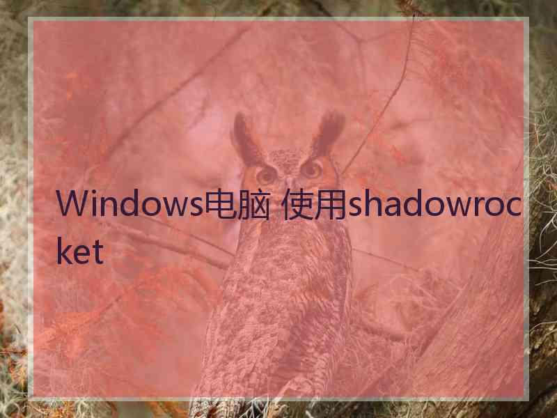 Windows电脑 使用shadowrocket