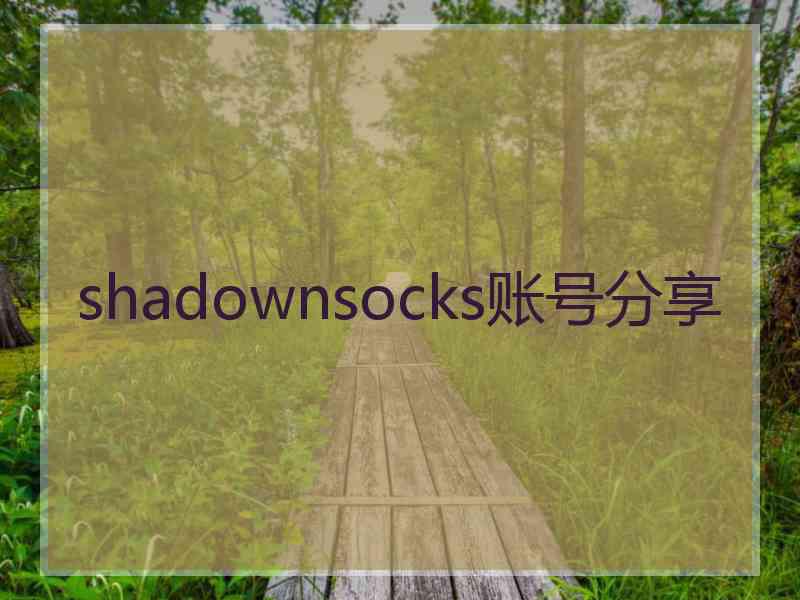shadownsocks账号分享