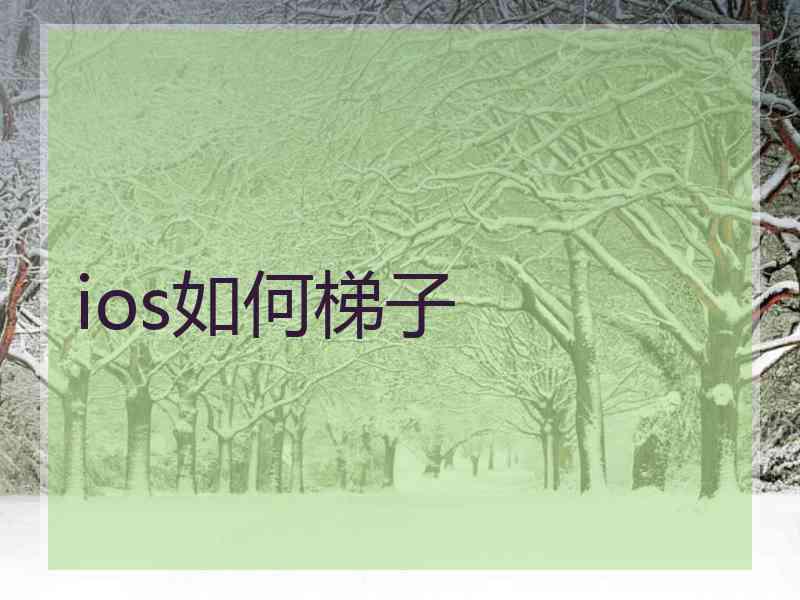 ios如何梯子