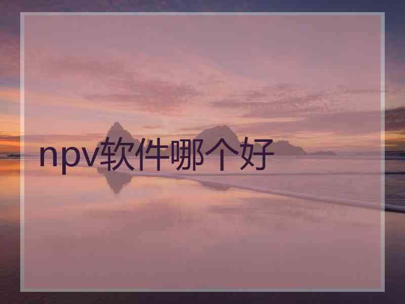 npv软件哪个好