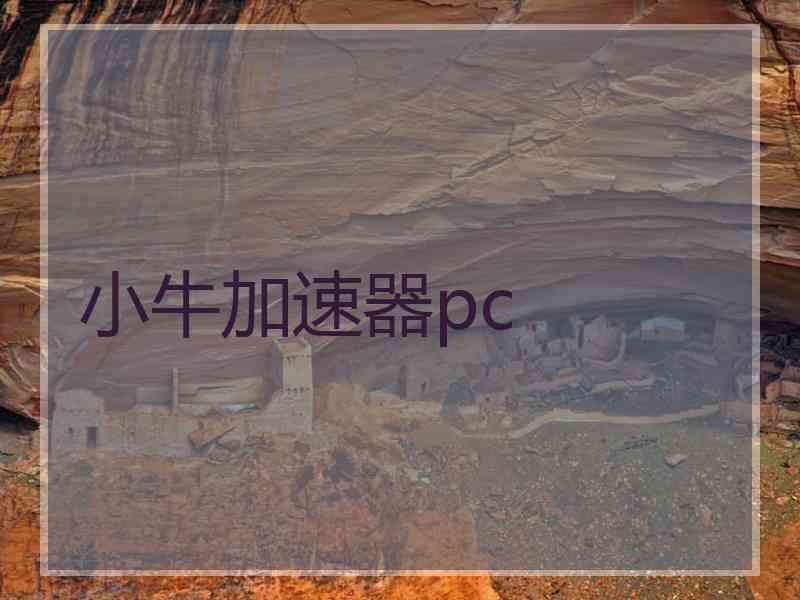 小牛加速器pc