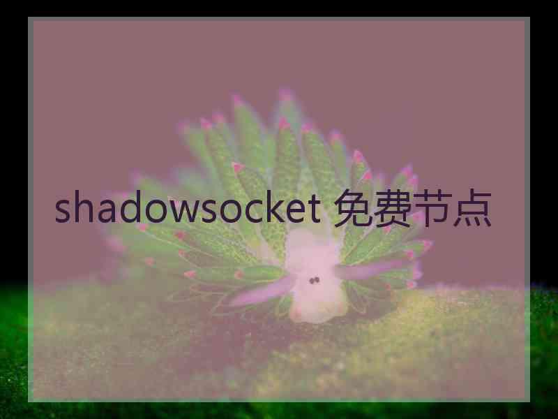 shadowsocket 免费节点