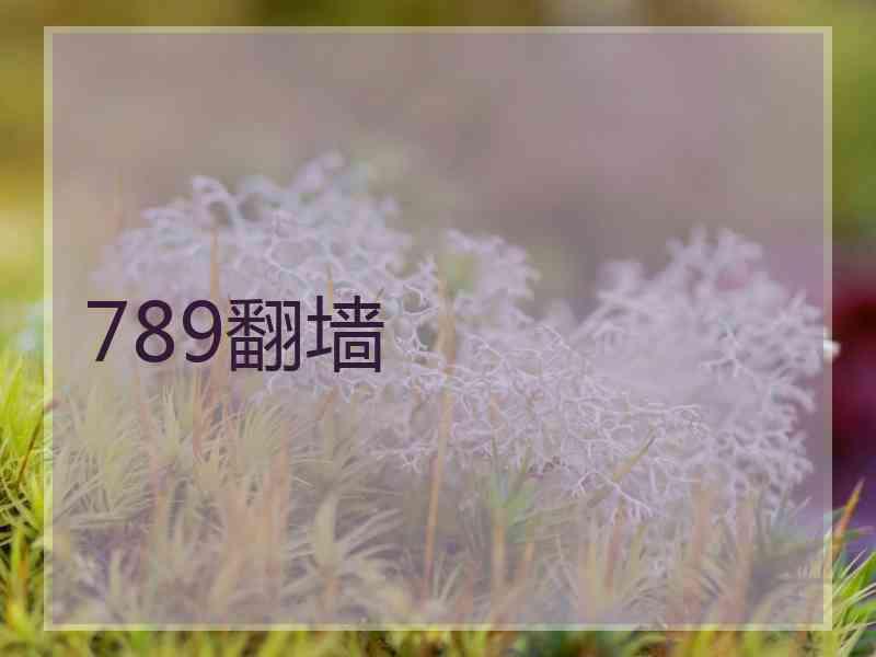 789翻墙