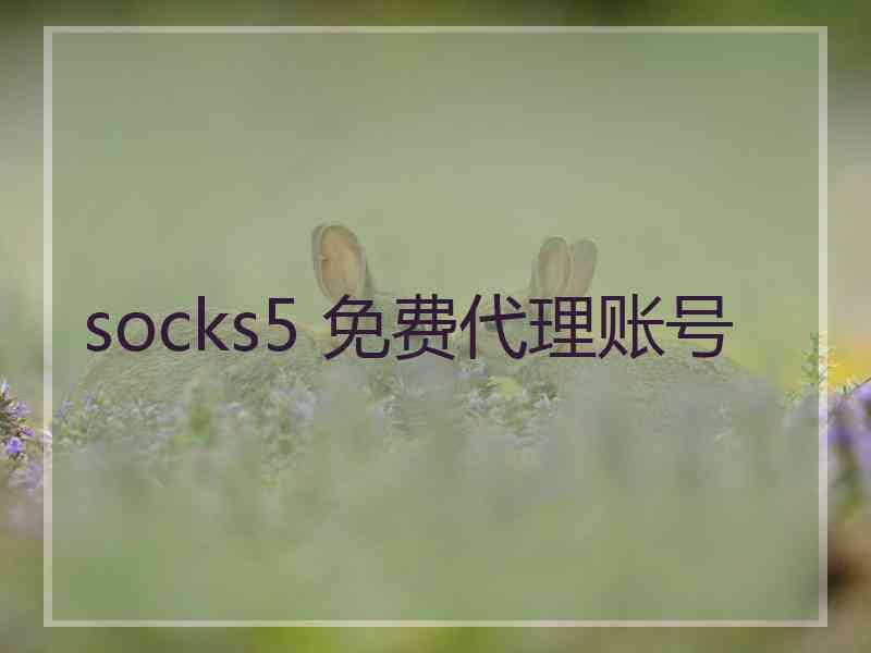 socks5 免费代理账号