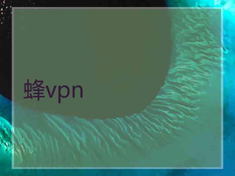 蜂vpn