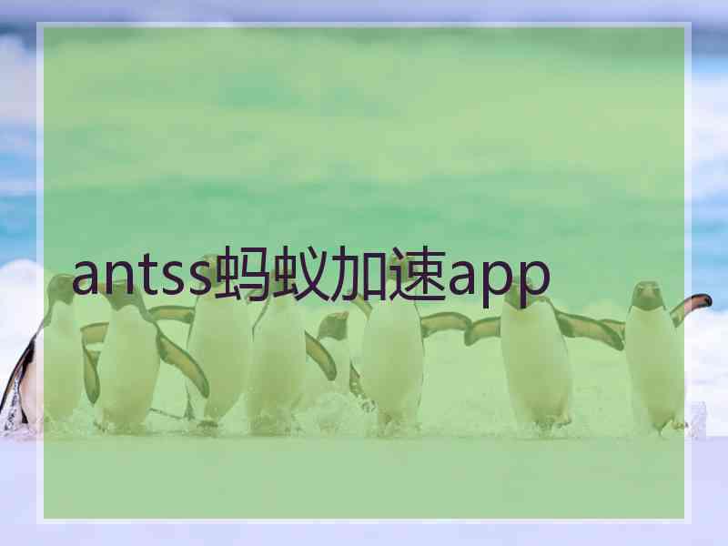 antss蚂蚁加速app