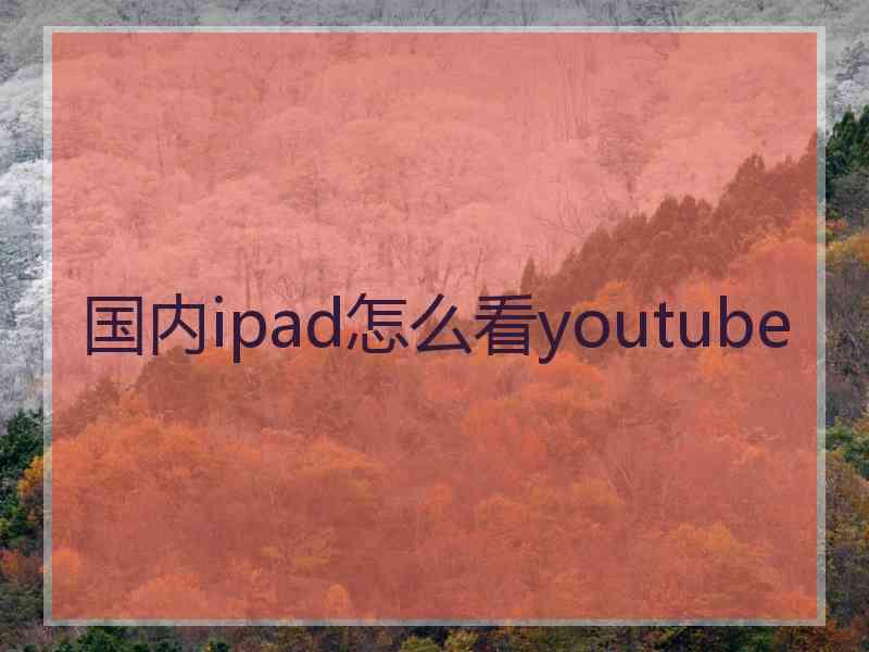 国内ipad怎么看youtube